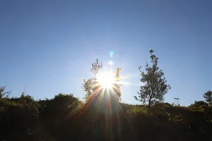 2025-06-21 Bartons Park - IMG_2487_compressed_q50.webp